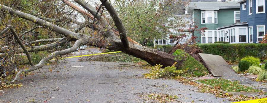 How to Protect Your Home From Storm Damage in Alabama’s Climate